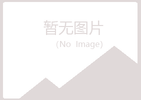 青岛四方平庸能源有限公司